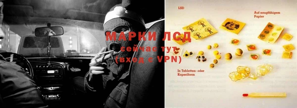 гидра Магас
