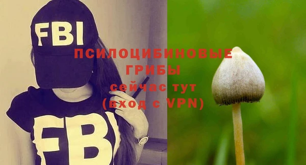 гидра Магас