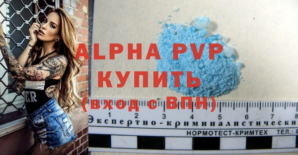 гидра Магас
