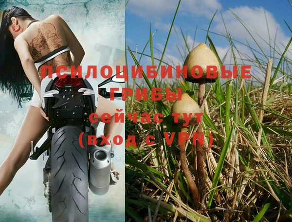 дмт Балашиха