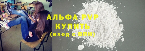 гидра Магас