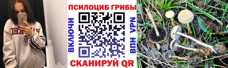 Псилоцибиновые грибы Magic Shrooms  сколько стоит  Златоуст 